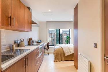 1 bed studio, Elmwood Avenue, Stranmillis, Belfast, BT96AY - Image 4